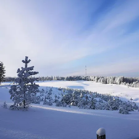Lotta Virttaa