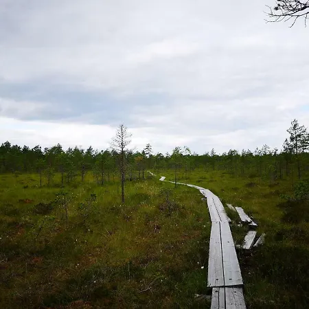Lotta Holiday home Virttaa