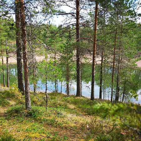 Lotta Ferienhaus Virttaa