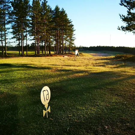 Lotta Virttaa